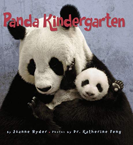 Panda Kindergarten Panda Kindergarten